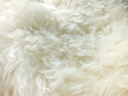 Helmbold Ivory 52mm Mohair