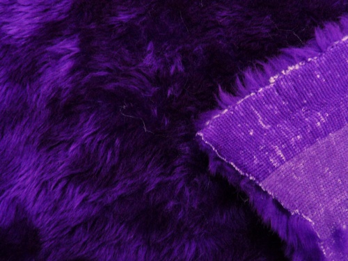 p800_purple_2